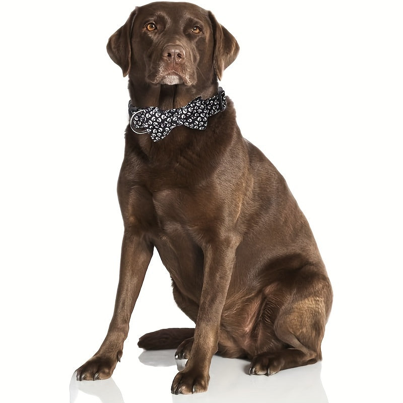 Collier Halloween Chien Ajustable - Motifs Citrouille Chauve-Souris Sorcière