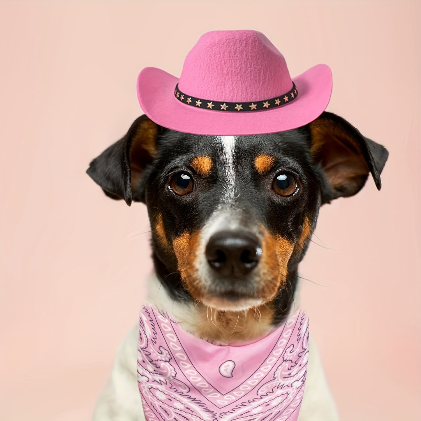 Costume Cowboy Halloween Chien Chat - Chapeau et Bandana Western Festif