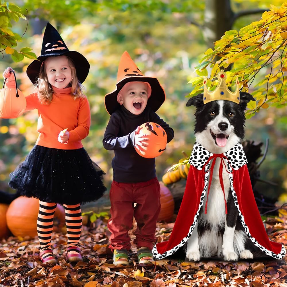 Costume Roi Halloween Chien Chat - Cape et Couronne à Pois Rouge et Noir