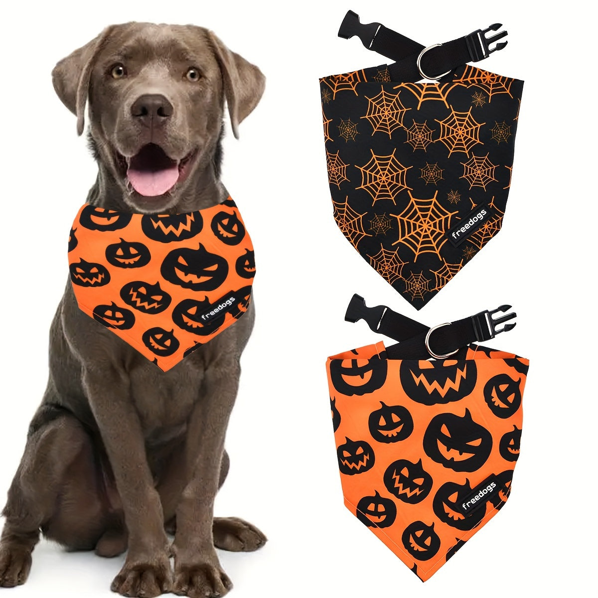 Pack 2 Bandanas Halloween Chien avec Collier - Citrouille et Toile d'Araignée