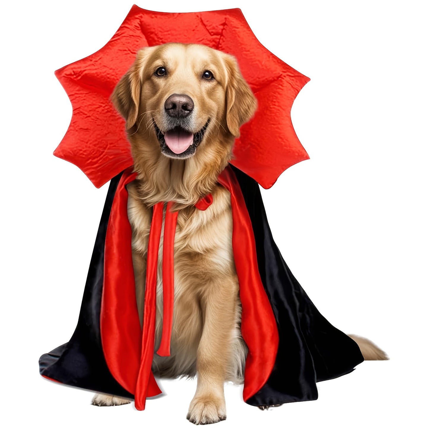 Cape Vampire Halloween Chien - Costume Gothique Rouge et Noir pour Chien Moyen