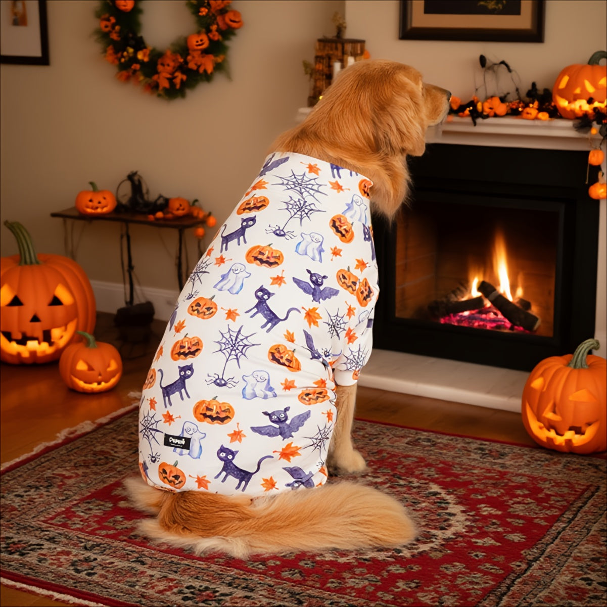 Pyjama Halloween Chien PUPBIU - Vêtement Doux Motifs Citrouille et Chauve-Souris