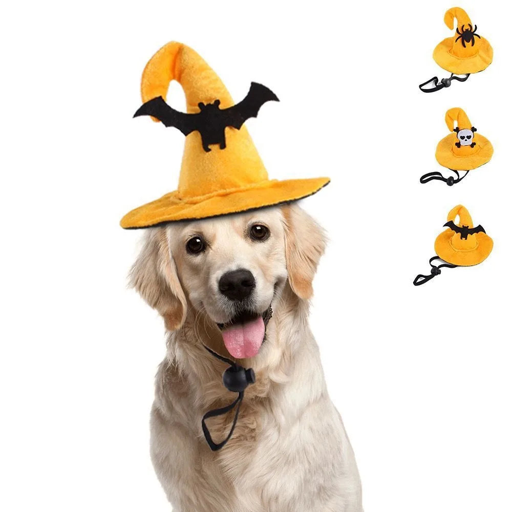 Chapeau Halloween Animaux - Citrouille Ajustable pour Chien et Chat