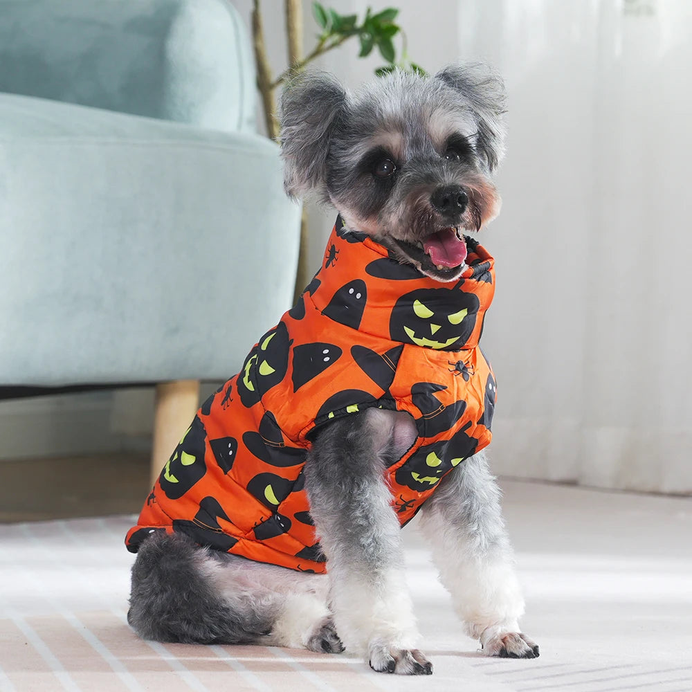 Veste Halloween Chien - Costume Festif Deux Pattes pour Petit et Moyen Chien
