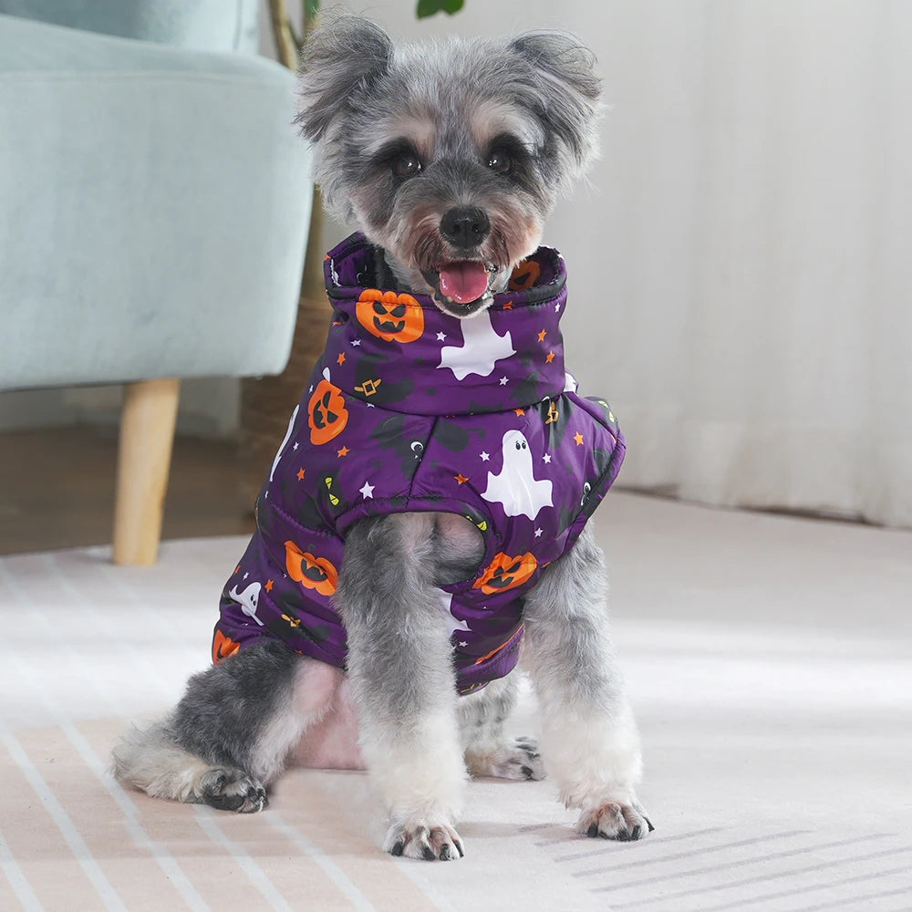 Veste Halloween Chien - Costume Festif Deux Pattes pour Petit et Moyen Chien