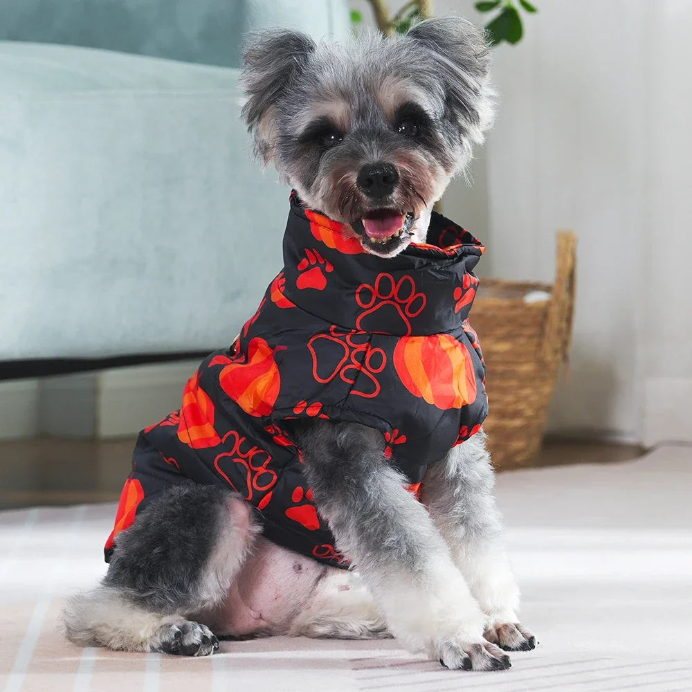 Veste Halloween Chien - Costume Festif Deux Pattes pour Petit et Moyen Chien