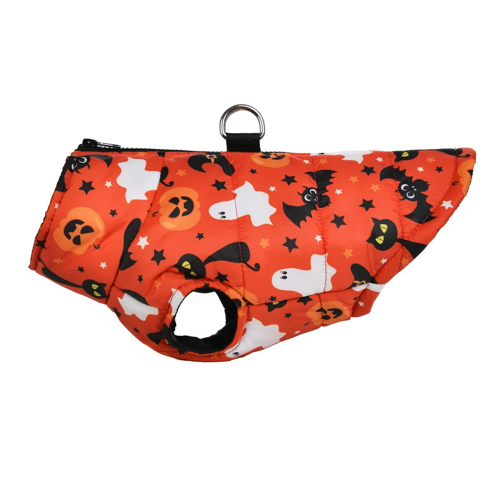 Veste Halloween Chien - Costume Festif Deux Pattes pour Petit et Moyen Chien