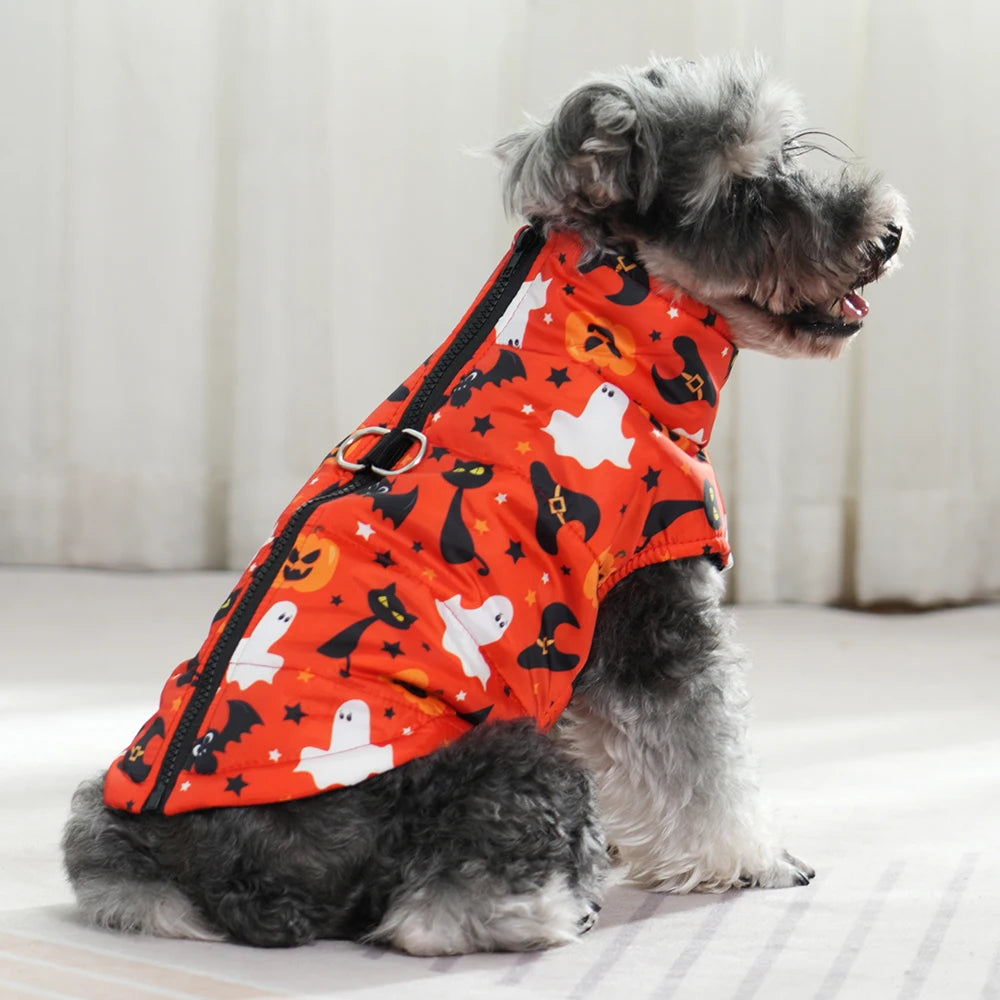Veste Halloween Chien - Costume Festif Deux Pattes pour Petit et Moyen Chien