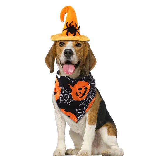 Chapeau Halloween Animaux - Citrouille Ajustable pour Chien et Chat