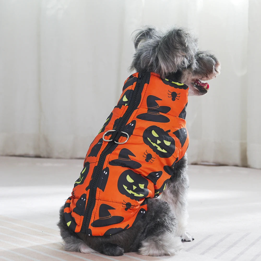 Veste Halloween Chien - Costume Festif Deux Pattes pour Petit et Moyen Chien