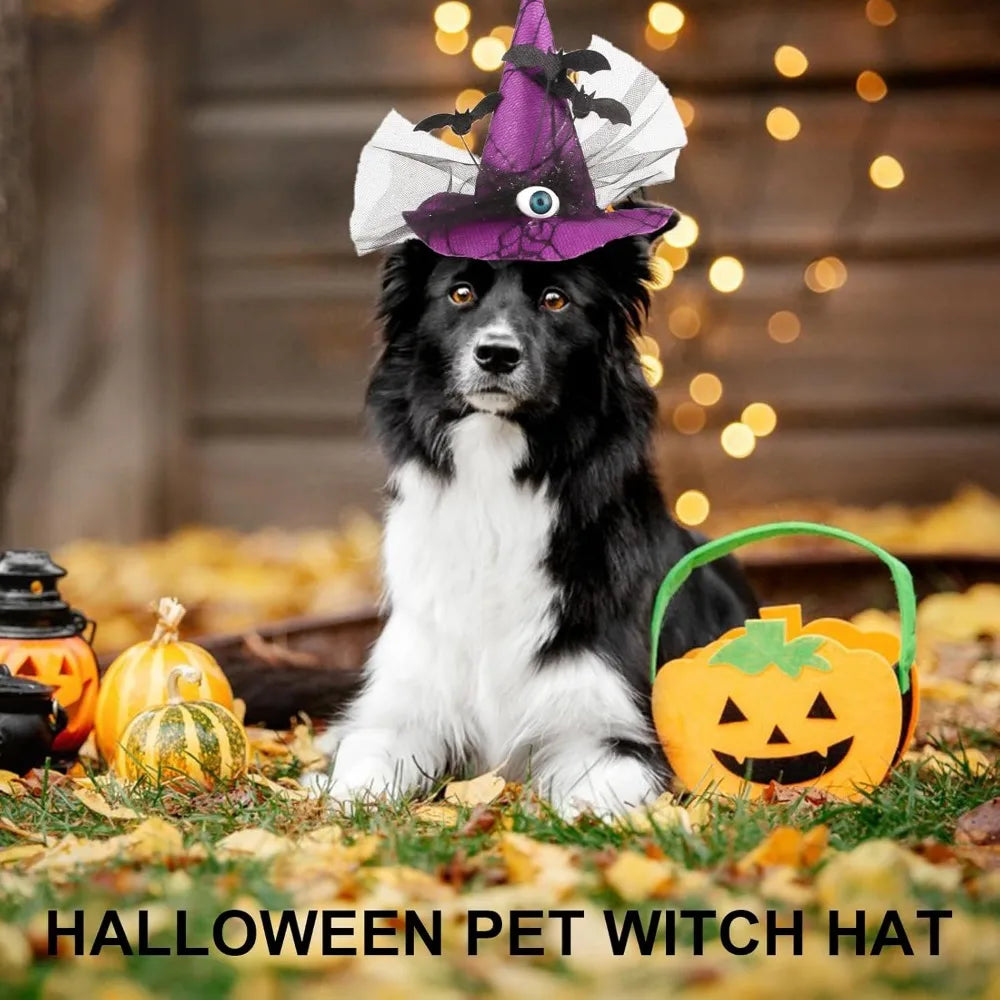 Chapeau de Sorcière Halloween pour Chien - Accessoire Festif avec Cordon Ajustable