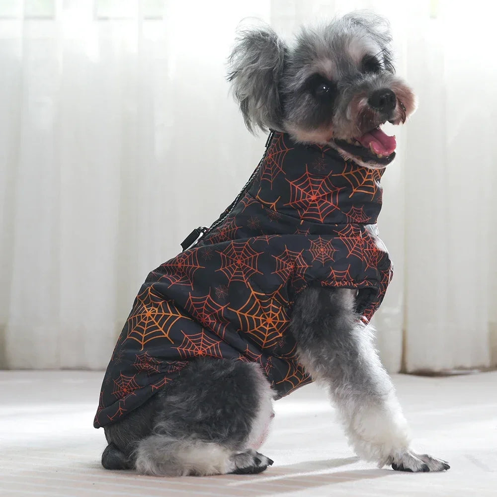 Veste Halloween Chien - Costume Festif Deux Pattes pour Petit et Moyen Chien
