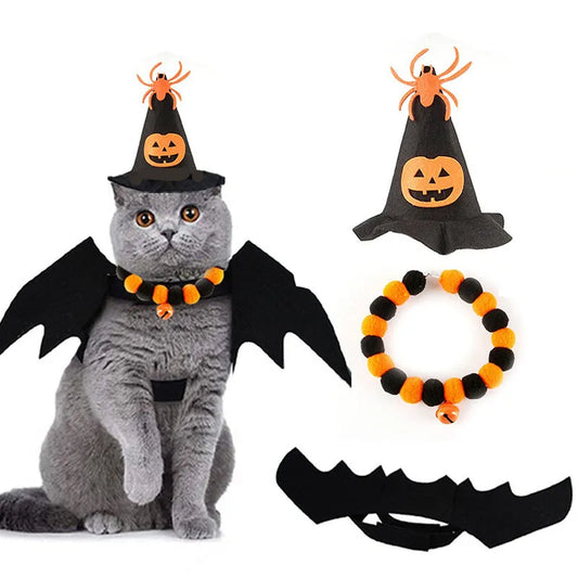 Costume Halloween Chat - Ailes de Chauve-Souris, Chapeau et Collier - Set Complet