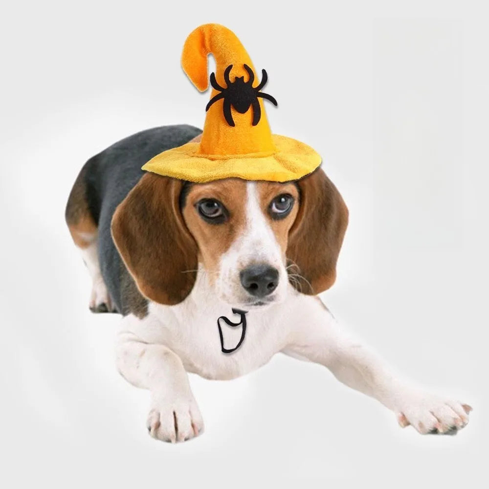 Chapeau Halloween Animaux - Citrouille Ajustable pour Chien et Chat