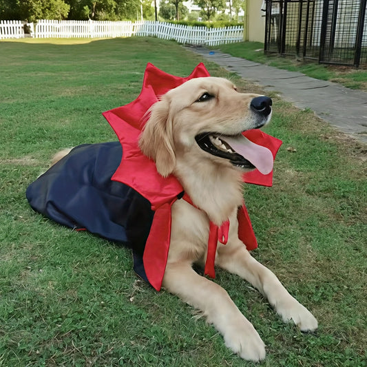 Cape Vampire Halloween Chien - Costume Gothique Rouge et Noir pour Chien Moyen