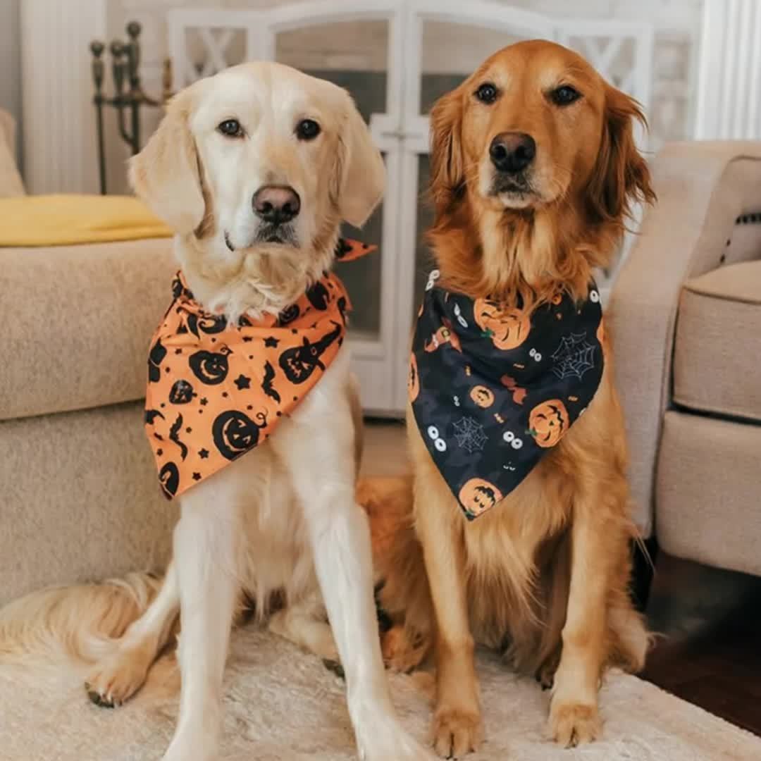 Bandana Halloween Chien Double Couche - Motifs Sorcière et Citrouille